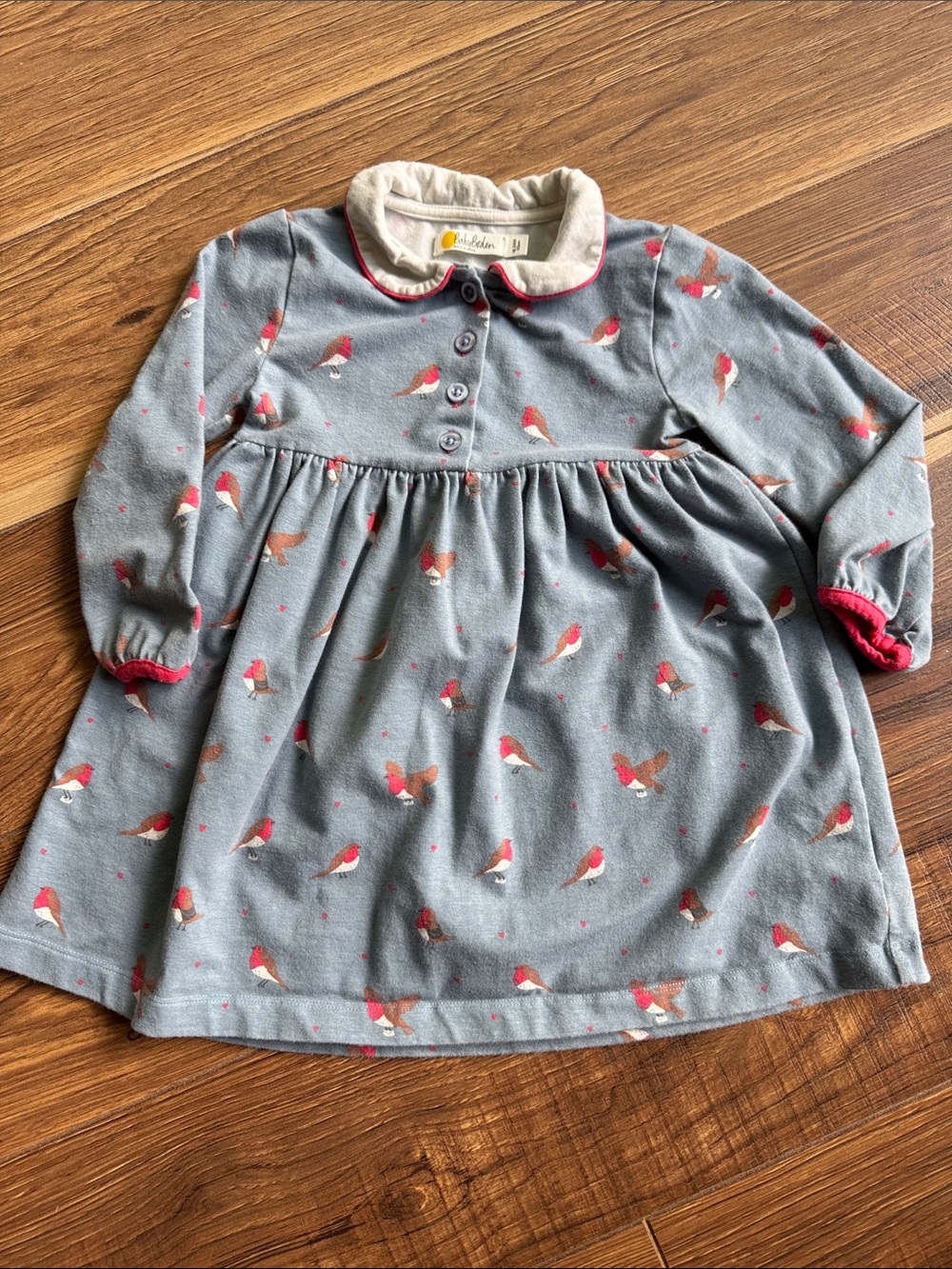 Baby Boden Blue Knit Dress with Red Robin Print